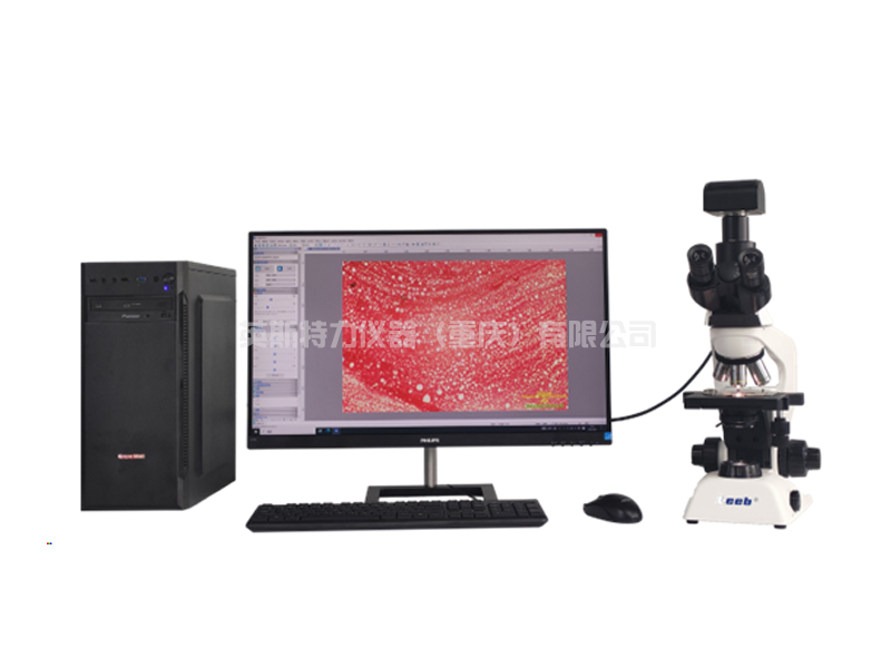 YSTTH-800碳黑分散度測(cè)試儀